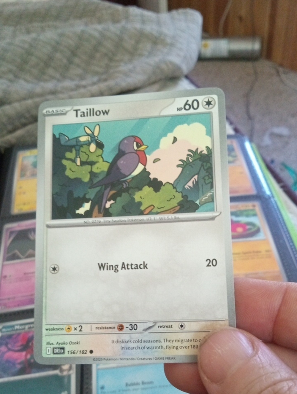 Pokemon Taillow Trading Card - White, Blue, Green